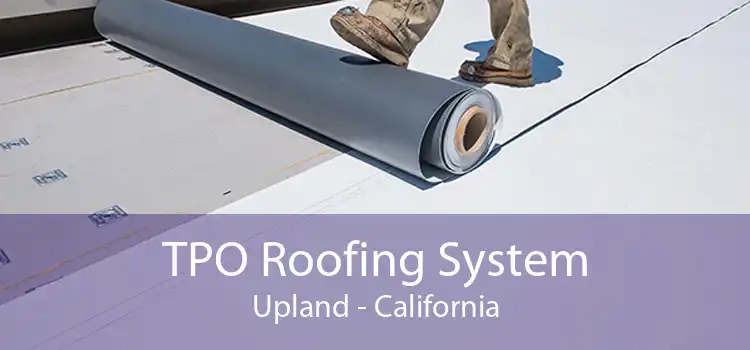 TPO Roofing System Upland - California